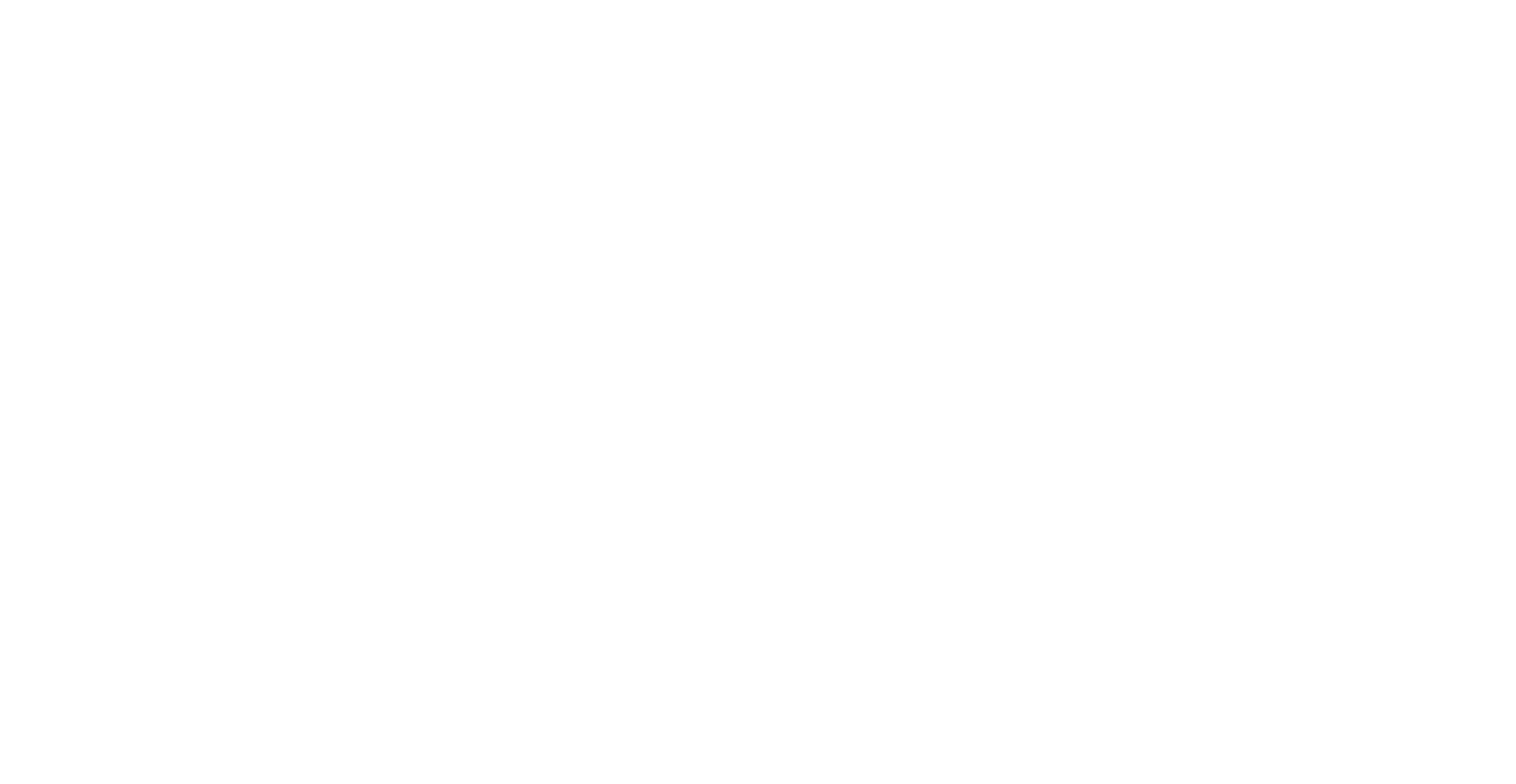 National-Lifestyle-Villages-logo.png